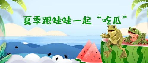 吃瓜网免费独家揭秘呱呱,吃瓜网独家免费解析呱呱背后的秘密