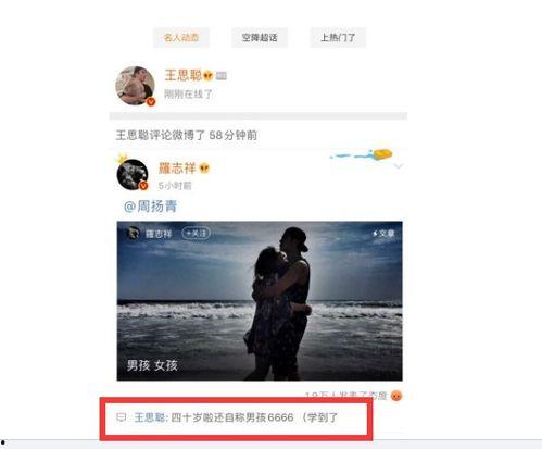 娱乐吃瓜酱王思聪